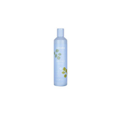 BALANCE PURIFYING SHAMPOO 300ML