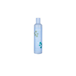 BALANCE+ SEBUM CONTROL SHAMPOO 300ML
