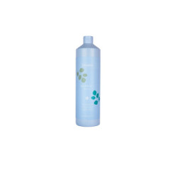 BALANCE+ SEBUM CONTROL SHAMPOO 1000ML