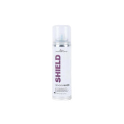 SPRAY TERMO-PROTECTOR BRILLO 150ML.