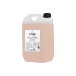 CHAMPU CARAMELO GARRAFA 5L L.I.