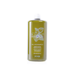 CHAMPU ALL-IN MAQUI3 HIDRATANTE 975ML