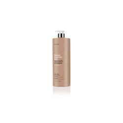 ABH AYURVEDIC SHAMPOO 1000 ml